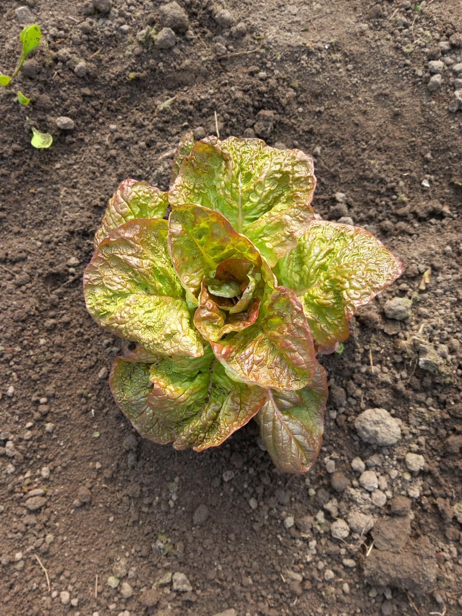 signal-2026-03-05-08-45-34-364 signal-2026-03-05-08-45-34-364