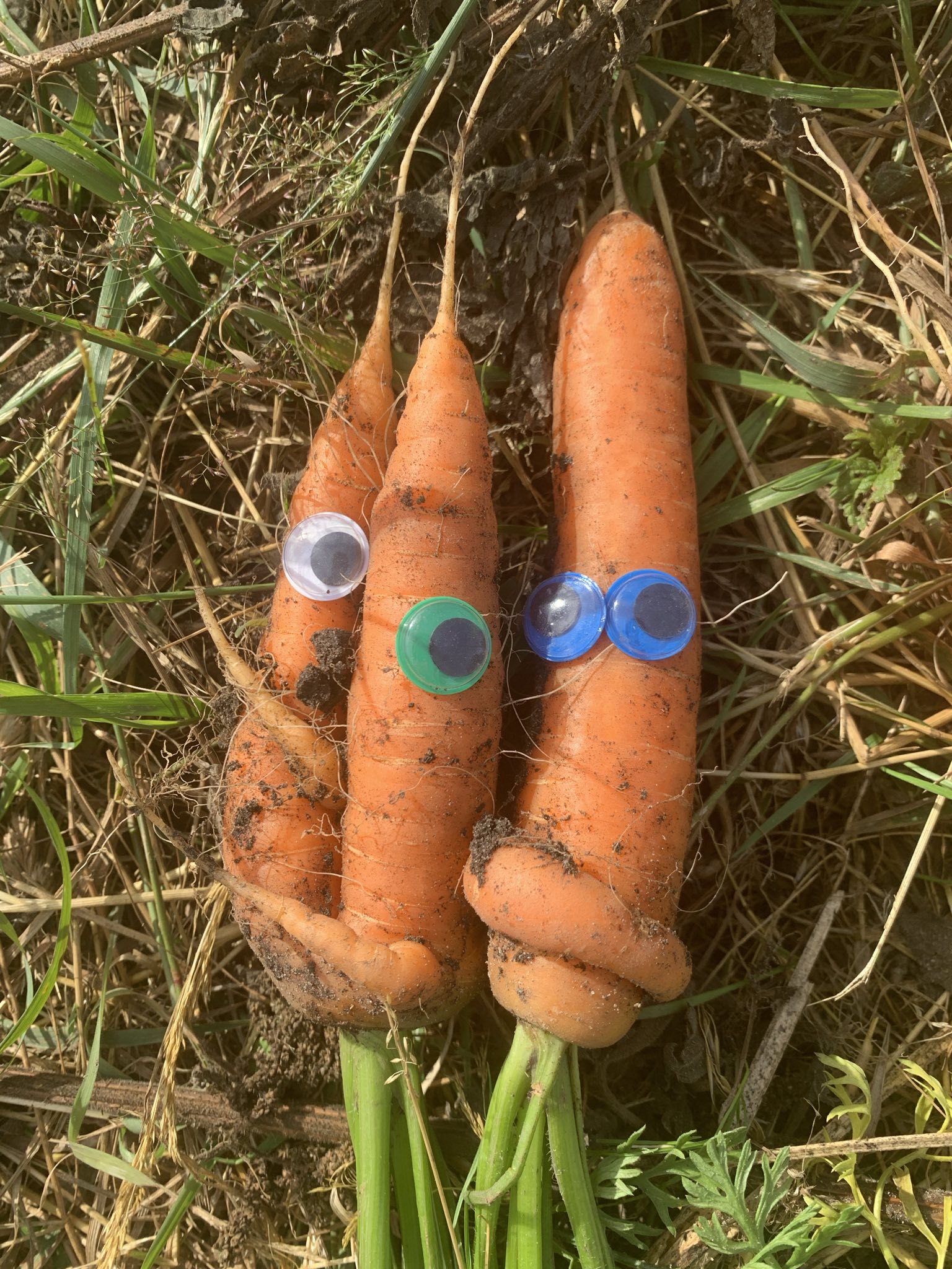 signal-2025-07-09-092058