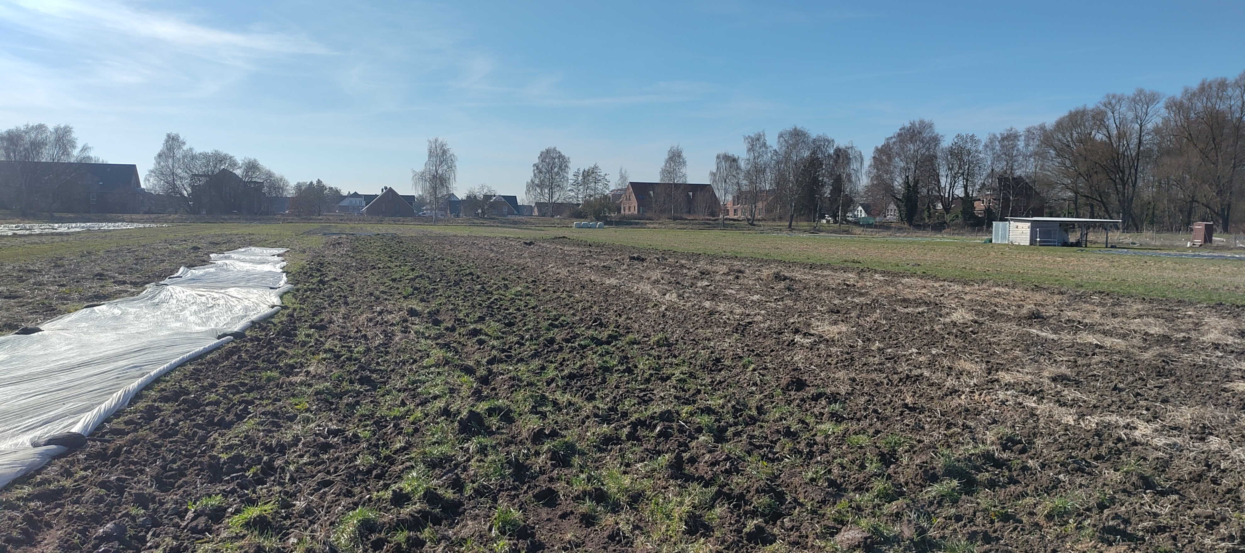 IMG_20260306_133838_1 IMG_20260306_133838_1