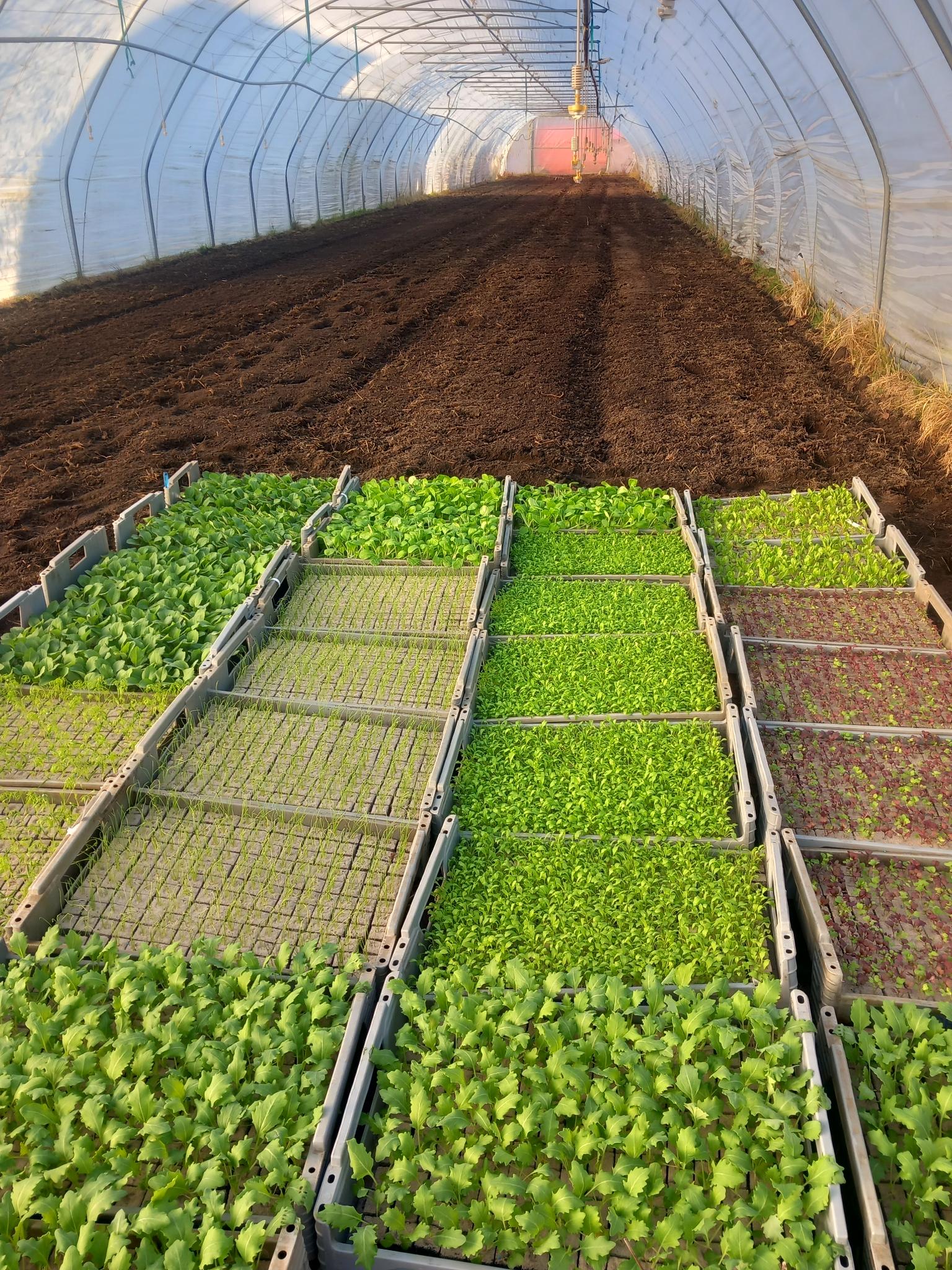 signal-2026-03-05-08-41-17-220 signal-2026-03-05-08-41-17-220