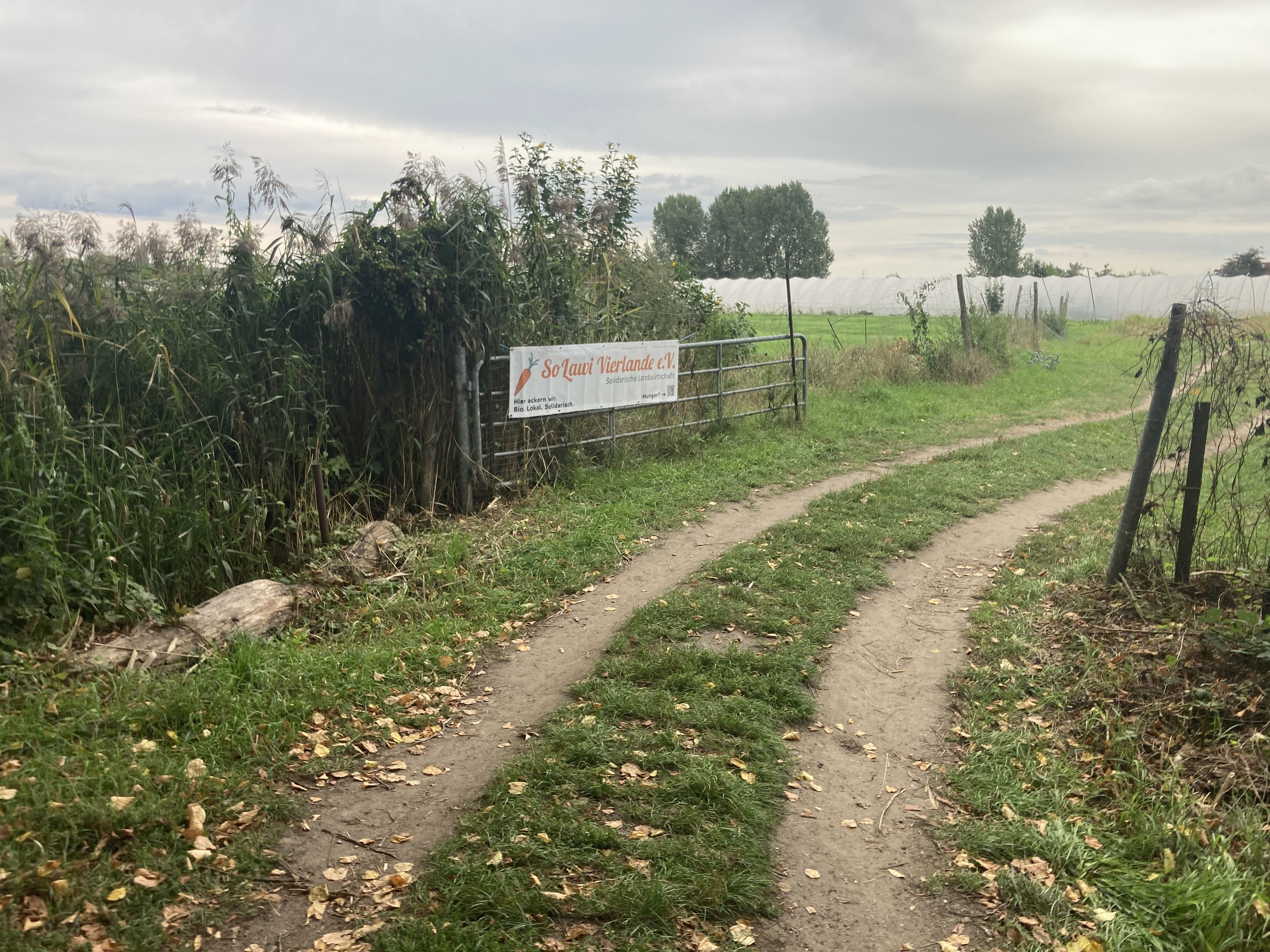 Neues Banner am Weg mit Tor