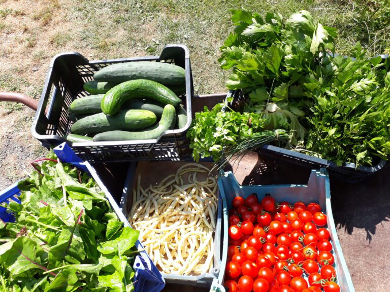 Tipps und Tricks zum Depot