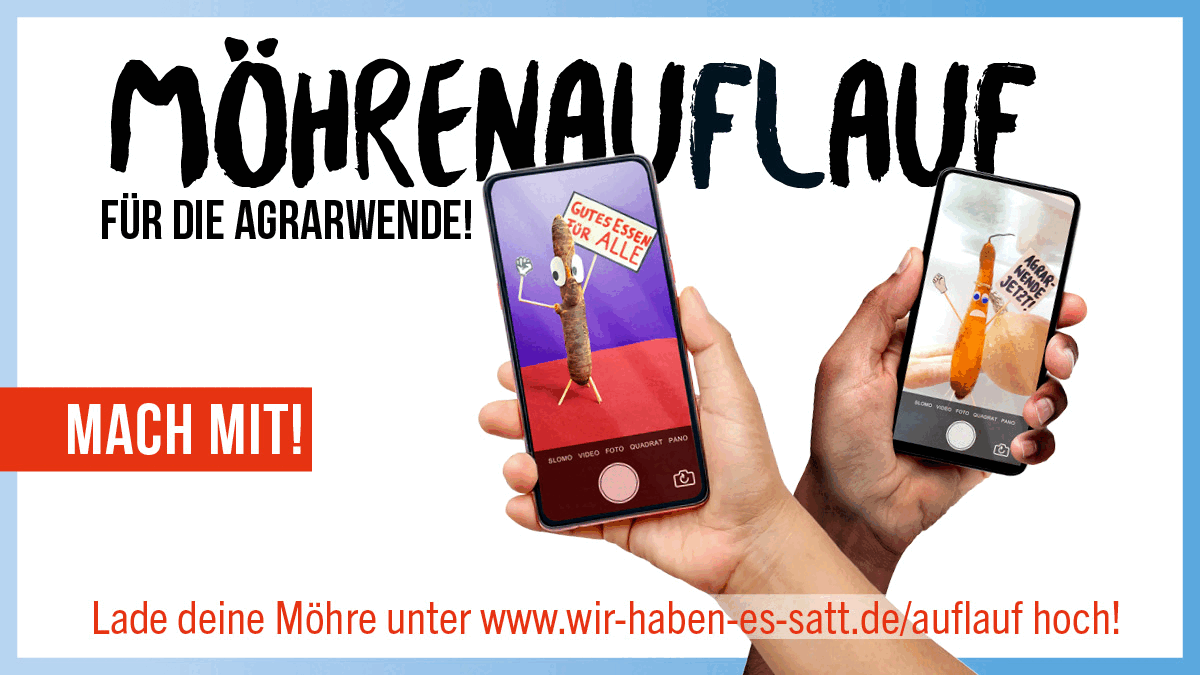 Online-Mitmachaktion MöhrenAuflauf 