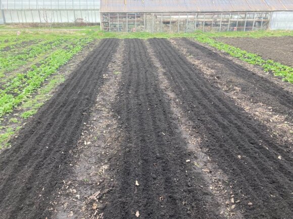 Neues vom Acker KW 12