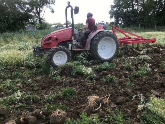 Neues vom Acker KW 24