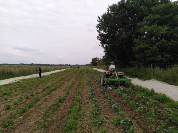 Neues vom Acker KW 35