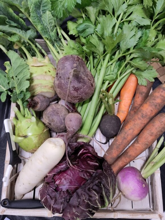 Foto, Nahaufnahme: verschiedene frische Gemüse (Rote Bete, Möhren, Kohlrabi, Rettich, Sellerie)
